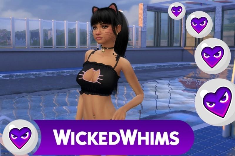 Best Modes Similar to WickedWhims