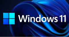Wicked Whims for Windows 11